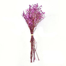 Load image into Gallery viewer, Natural Gypsophila Dried Flowers Mini Babysbreath Flower Preserve Floral  Decor Bouquet Wedding Party Home Backdrop Decor 12cm
