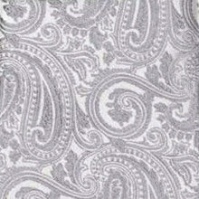 Load image into Gallery viewer, Vittorio Farina Paisley Designer Necktie &amp; Pocket Square

