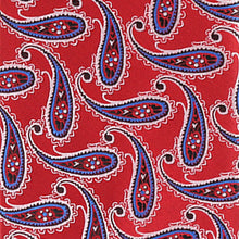 Load image into Gallery viewer, Vittorio Farina Paisley Designer Necktie &amp; Pocket Square
