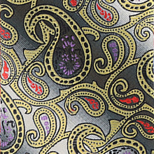 Load image into Gallery viewer, Vittorio Farina Paisley Designer Necktie &amp; Pocket Square
