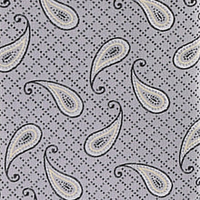 Load image into Gallery viewer, Vittorio Farina Paisley Designer Necktie &amp; Pocket Square
