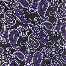 Load image into Gallery viewer, Vittorio Farina Paisley Designer Necktie &amp; Pocket Square

