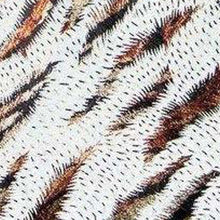 Load image into Gallery viewer, Vittorio Farina Metallic Necktie &amp; Pocket Square
