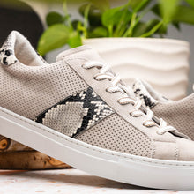 Load image into Gallery viewer, 66-100-GRY OLYMPIAS Genuine Python and Italian Sueded Goatskin, Grey
