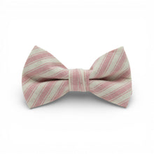 Load image into Gallery viewer, Peony Stripe - Boys Bow Tie
