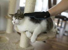 Load image into Gallery viewer, Pet Hair Removal Glove
