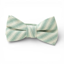 Load image into Gallery viewer, Pistachio Stripe - Boys Bow Tie
