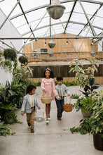 Load image into Gallery viewer, Pistachio Stripe - Boys Tie
