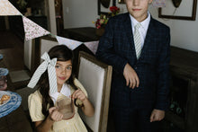 Load image into Gallery viewer, Pistachio Stripe - Lady Hair Bow
