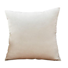 Load image into Gallery viewer, Super Soft Cushion Cover Velvet Pillow Cover Living Room Velvet Decorative Throw Pillow Covers Soft Solid Square Cushion Case For Couch Home Decorative Pillows
