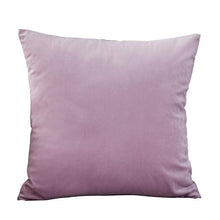 Load image into Gallery viewer, Super Soft Cushion Cover Velvet Pillow Cover Living Room Velvet Decorative Throw Pillow Covers Soft Solid Square Cushion Case For Couch Home Decorative Pillows
