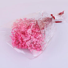 Load image into Gallery viewer, Natural Gypsophila Dried Flowers Mini Babysbreath Flower Preserve Floral  Decor Bouquet Wedding Party Home Backdrop Decor 12cm
