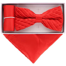 Load image into Gallery viewer, Vittorio Farina Pleated Bow Tie &amp; Pocket Square
