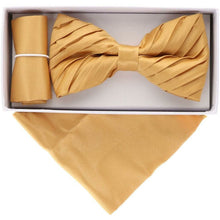 Load image into Gallery viewer, Vittorio Farina Pleated Bow Tie &amp; Pocket Square
