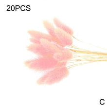 Load image into Gallery viewer, Real Dried Grass Reed Flower Natural Dry Small Bulrush Bouquet Pampas Reeds Home Decoration Wedding Decor Pompass Grass Branches for Vase Artificial Grass Room Décor Wedding Decorations
