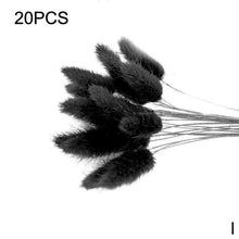 Load image into Gallery viewer, Real Dried Grass Reed Flower Natural Dry Small Bulrush Bouquet Pampas Reeds Home Decoration Wedding Decor Pompass Grass Branches for Vase Artificial Grass Room Décor Wedding Decorations
