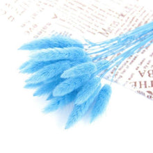 Load image into Gallery viewer, Real Dried Grass Reed Flower Natural Dry Small Bulrush Bouquet Pampas Reeds Home Decoration Wedding Decor Pompass Grass Branches for Vase Artificial Grass Room Décor Wedding Decorations
