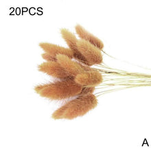 Load image into Gallery viewer, Real Dried Grass Reed Flower Natural Dry Small Bulrush Bouquet Pampas Reeds Home Decoration Wedding Decor Pompass Grass Branches for Vase Artificial Grass Room Décor Wedding Decorations
