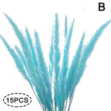 Load image into Gallery viewer, Real Dried Grass Reed Flower Natural Dry Small Bulrush Bouquet Pampas Reeds Home Decoration Wedding Decor Pompass Grass Branches for Vase Artificial Grass Room Décor Wedding Decorations
