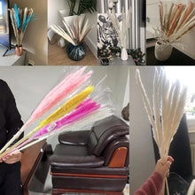 Load image into Gallery viewer, Real Dried Grass Reed Flower Natural Dry Small Bulrush Bouquet Pampas Reeds Home Decoration Wedding Decor Pompass Grass Branches for Vase Artificial Grass Room Décor Wedding Decorations
