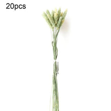 Load image into Gallery viewer, Real Dried Grass Reed Flower Natural Dry Small Bulrush Bouquet Pampas Reeds Home Decoration Wedding Decor Pompass Grass Branches for Vase Artificial Grass Room Décor Wedding Decorations
