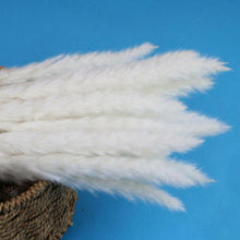 Load image into Gallery viewer, Real Dried Grass Reed Flower Natural Dry Small Bulrush Bouquet Pampas Reeds Home Decoration Wedding Decor Pompass Grass Branches for Vase Artificial Grass Room Décor Wedding Decorations
