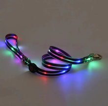 Load image into Gallery viewer, Rechargeable LED Pet Collar with Nylon Leash
