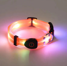 Load image into Gallery viewer, Rechargeable LED Pet Collar with Nylon Leash
