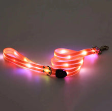 Load image into Gallery viewer, Rechargeable LED Pet Collar with Nylon Leash
