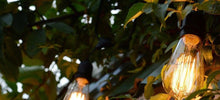 Load image into Gallery viewer, Retro Edison Bulb ST64 A19 T45 G80 G95 G125 Incandescent Light Bulb E27 220V 40W filament bulb lighting tubes Edison
