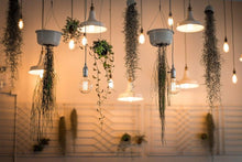 Load image into Gallery viewer, Retro Edison Light Bulb Vintage Edison Lamp Vintage Incandescent  Edison Light Bulbs Edison Filament Light Bulb Dimmable Warm White Different Shape Light
