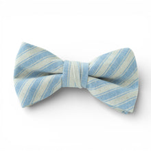 Load image into Gallery viewer, Robin Egg Stripe - Boys Bow Tie
