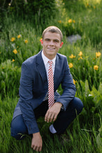 Load image into Gallery viewer, Scarlet Stripe Men's Tie
