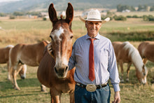Load image into Gallery viewer, Sienna Men's Tie
