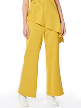 Load image into Gallery viewer, Spanx Wide Leg Pants With Elastic Back
