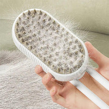 Load image into Gallery viewer, Steamy Pet Grooming Brush
