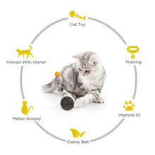 Load image into Gallery viewer, Swing Toys for Cats Kitten Interactive Balance Car Cat Chasing Toy With Catnip Funny Pet Products Indoor Cats Chaser Toys with Feather Catnip Ball Balanced Exercise Wheel Toy for Cats Chasing Hunting Playing

