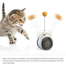 Load image into Gallery viewer, Swing Toys for Cats Kitten Interactive Balance Car Cat Chasing Toy With Catnip Funny Pet Products Indoor Cats Chaser Toys with Feather Catnip Ball Balanced Exercise Wheel Toy for Cats Chasing Hunting Playing
