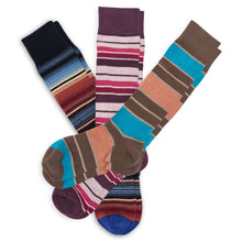 Load image into Gallery viewer, The Gentleman's Dress Sock Bundle
