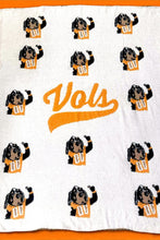 Load image into Gallery viewer, SC - ETA 3/11 - Smokey Spirit Luxury Blanket
