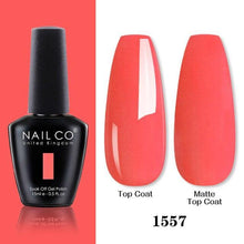 Load image into Gallery viewer, Womens Gel Nail Polish Multi Glossy and Matte Colors Elegant Manicure Design For Womens
