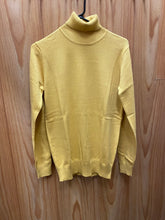 Load image into Gallery viewer, Rizzo Slim Fit Solid Color Turtlenecks TN-1
